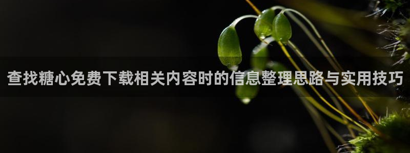 糖心app:查找糖心免费下载相关内容时的信息整理思路与实用技巧
