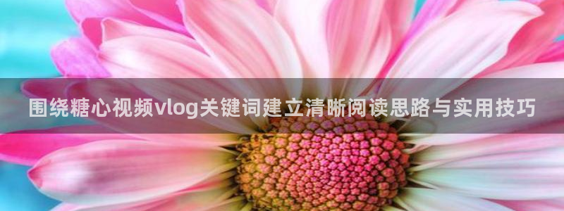 糖心在线播放免费观看
