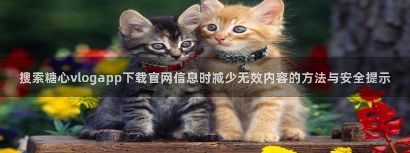 糖心免费