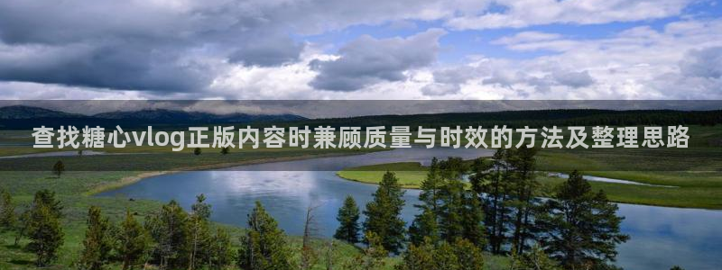 糖心在线观看