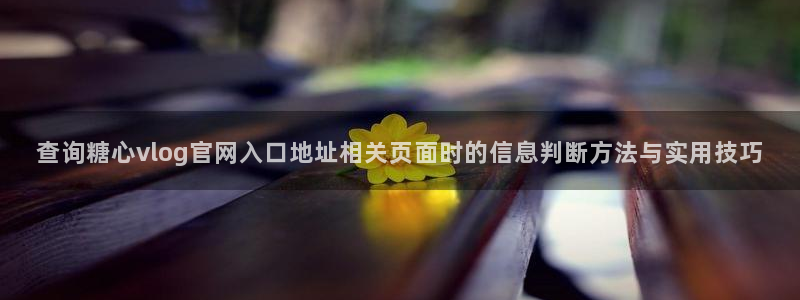 糖心vlog下载入口