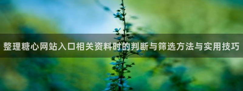 糖心传媒在线观看