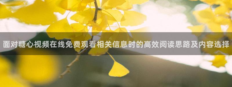 糖心精品
