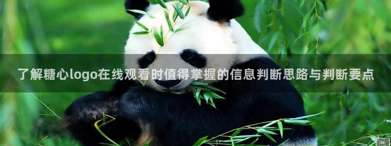 糖心vlog新入口