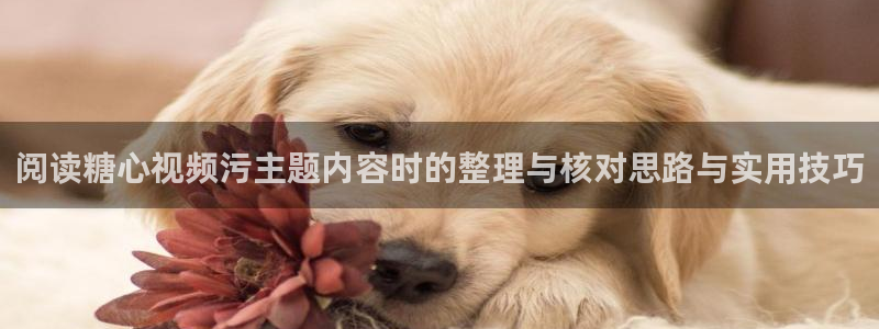 糖心原创:阅读糖心视频污主题内容时的整理与核对思路与实用技巧
