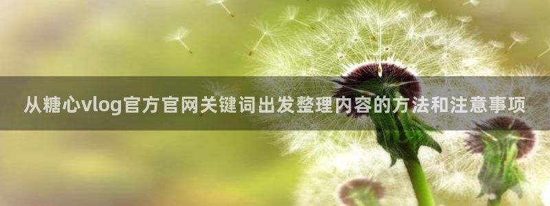 糖心代表作视频