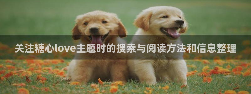 糖心传媒在线