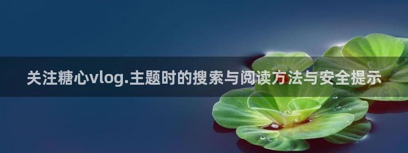 糖心vlog在线观看免费:关注糖心vlog.主题时的搜索与阅读方法与安全提示