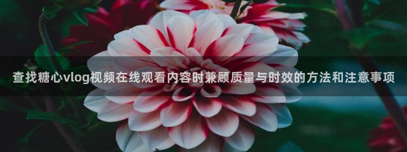糖心vlog入口:查找糖心vlog视频在线观看内容时兼顾质量与时效的方法和注意事项