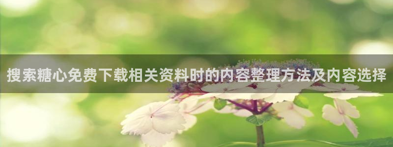 糖心的vlog日常免费观看:搜索糖心免费下载相关资料时的内容整理方法及内容选择