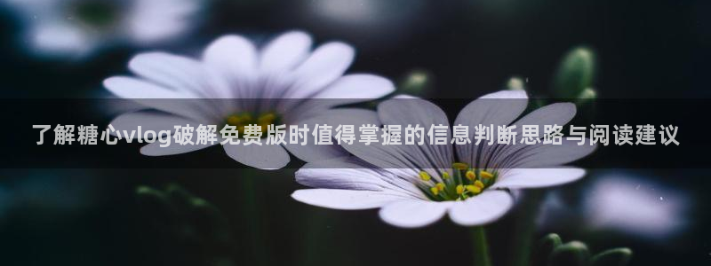 糖心app下载安装app