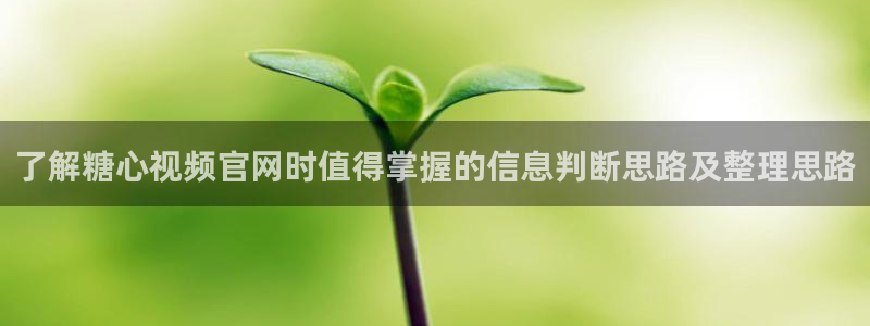 糖心视频在线播放：了解糖心视频官网时值得掌握的信息判断思路及整理思路