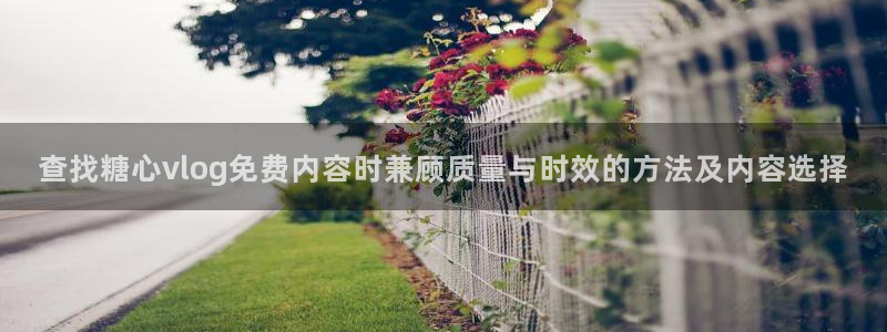 糖心网站在线观看：查找糖心vlog免费内容时兼顾质量与时效的方法及内容选择