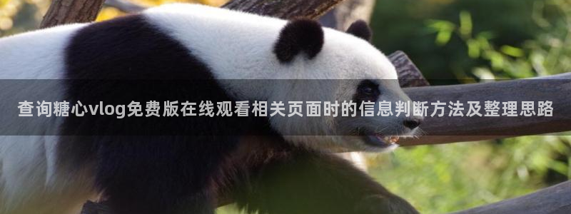 糖心logo破解版:查询糖心vlog免费版在线观看相关页面时的信息判断方法及整理思路