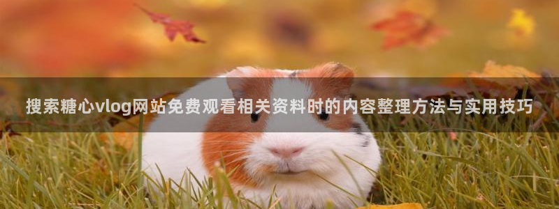 糖心vlog免费视频:搜索糖心vlog网站免费观看相关资料时的内容整理方法与实用技巧